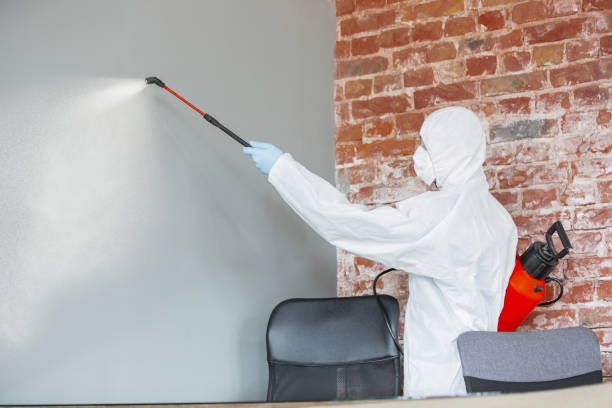 Forensic Mold Investigation in Cactus Flats, AZ