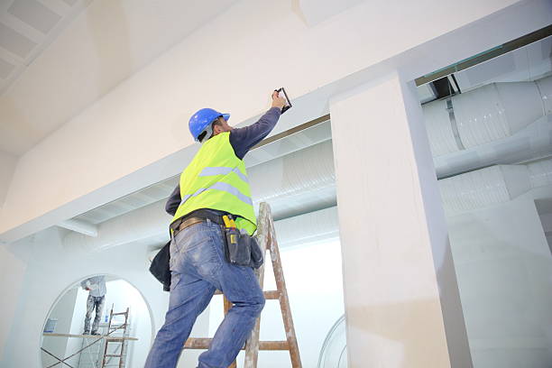 Best Crawl Space Mold Remediation  in Cactus Flats, AZ